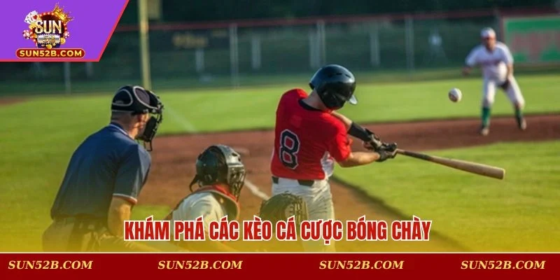 Các loại hình cá cược bóng chày nổi tiếng