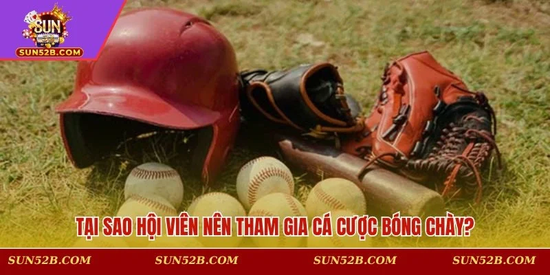 Lý do nên trải nghiệm dự đoán bóng chày trên nền tảng